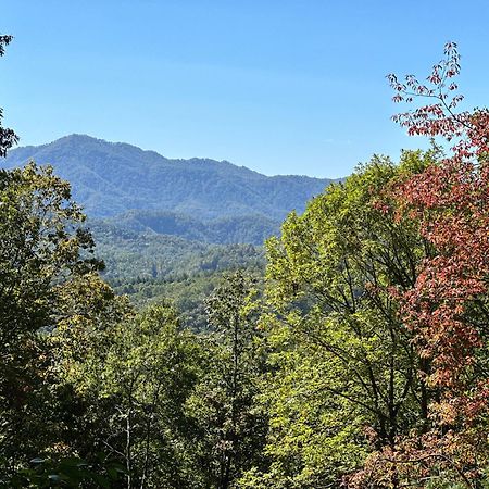 Stunning Views, Superb Atmosphere, Modern Amenities, In The Middle Of Nature Bryson City Eksteriør bilde